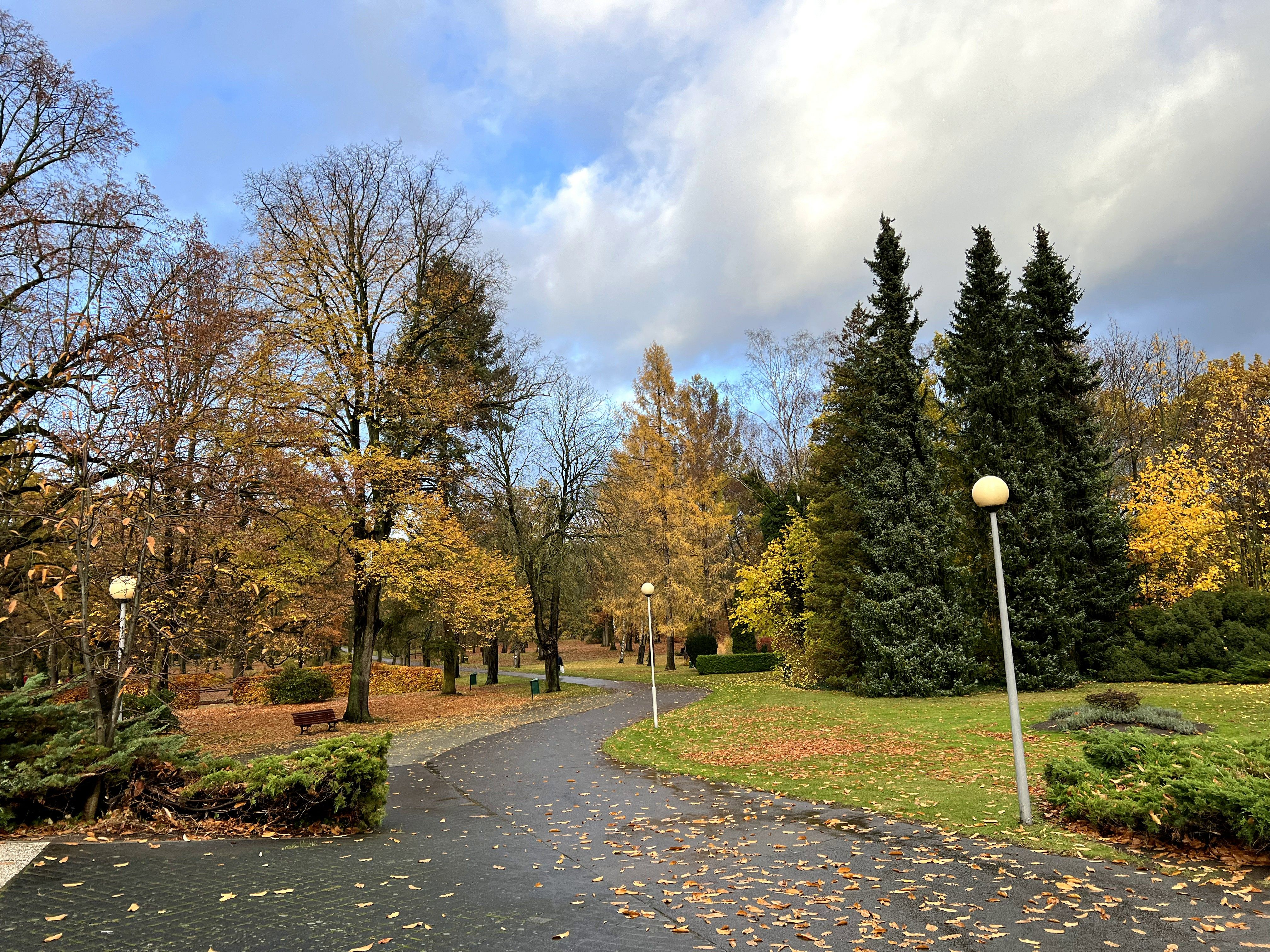 Geschwungene Wege zwischen herbstlichen Bäumen im Parkfriedhof Marzahn